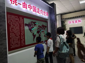 桃香引巧思，非遺潤(rùn)童心——奉賢錢橋?qū)W校暑期親子體驗(yàn)活動(dòng)側(cè)記